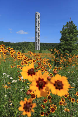 Image of Flight 93 National Memorial